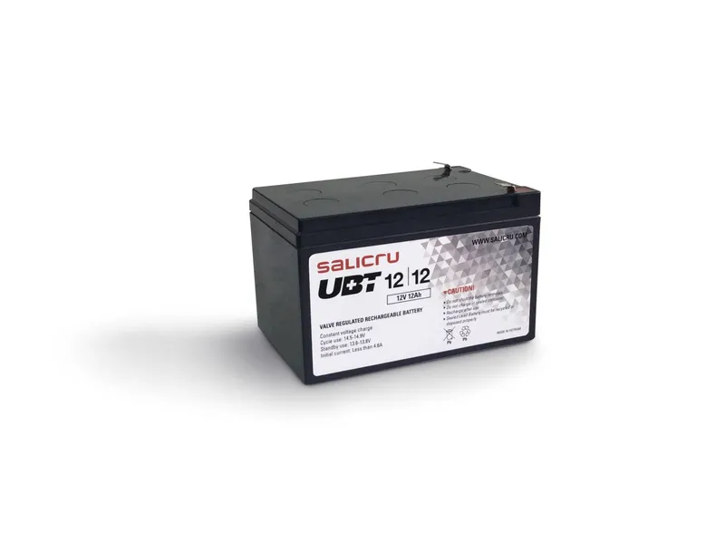Bateria SAI Salicru UBT 12v/12ah - foto 2