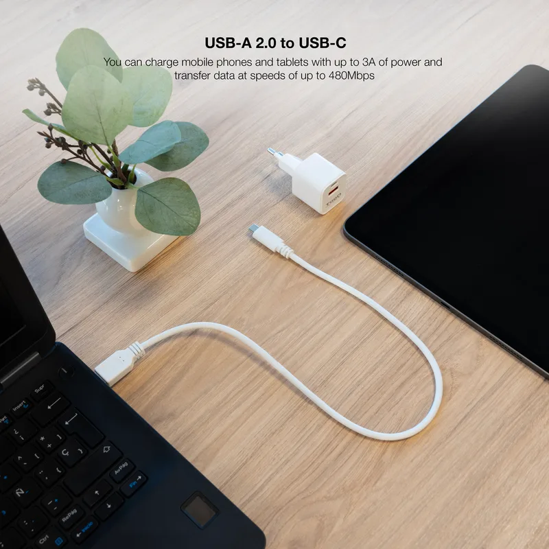 Nanocable Cable USB Nano Cable Usb2.0 Usb-c/m - Usb-c/m 3A 1.0m Blanco - foto 3